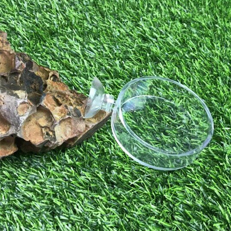 Aquarium Shrimp Glass Feeding Bowl