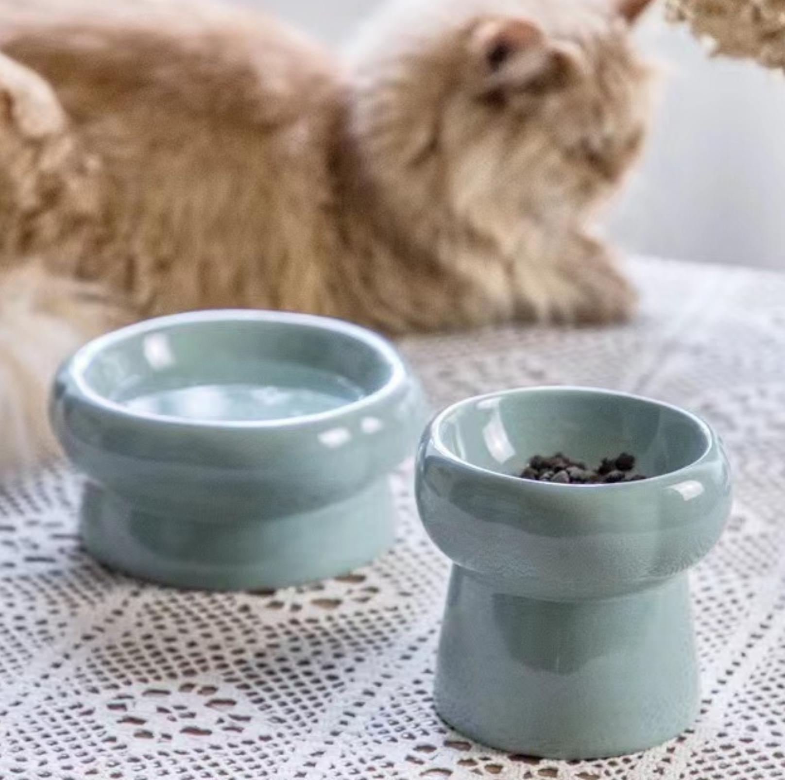 Petal Style Ceramic Cat Bowls and Small Dog Bowls