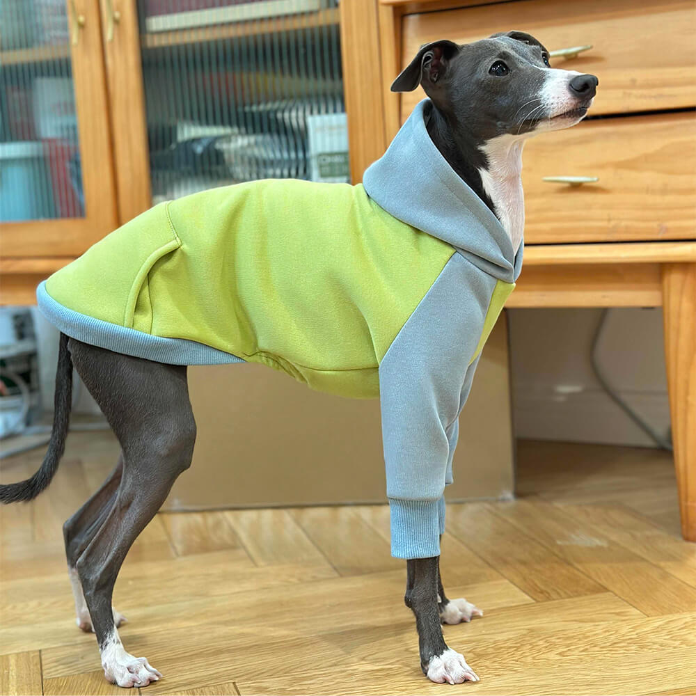 Lightweight Warm Thick Turtleneck Down Padded Dog Jacket Sweatshirt Set