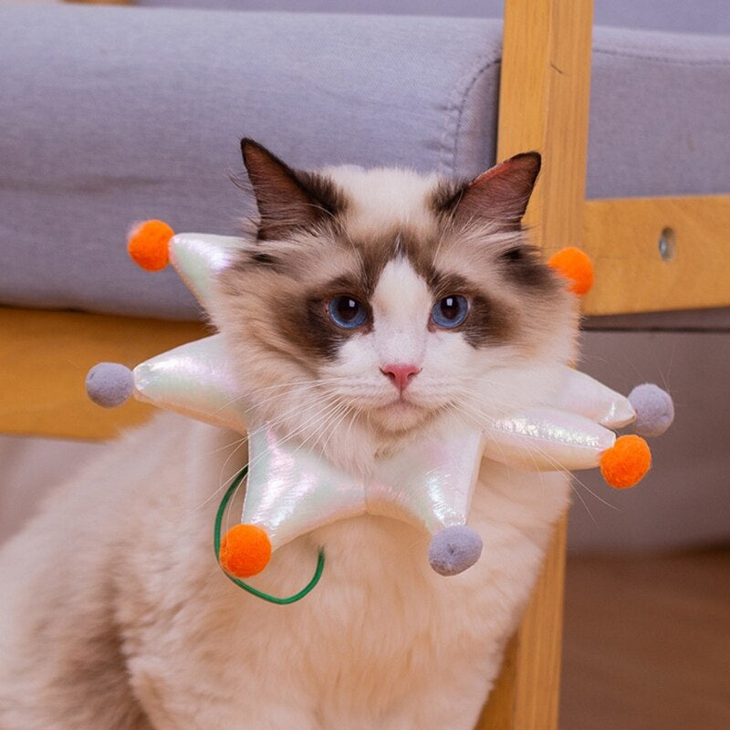 Cat Recovery Collar