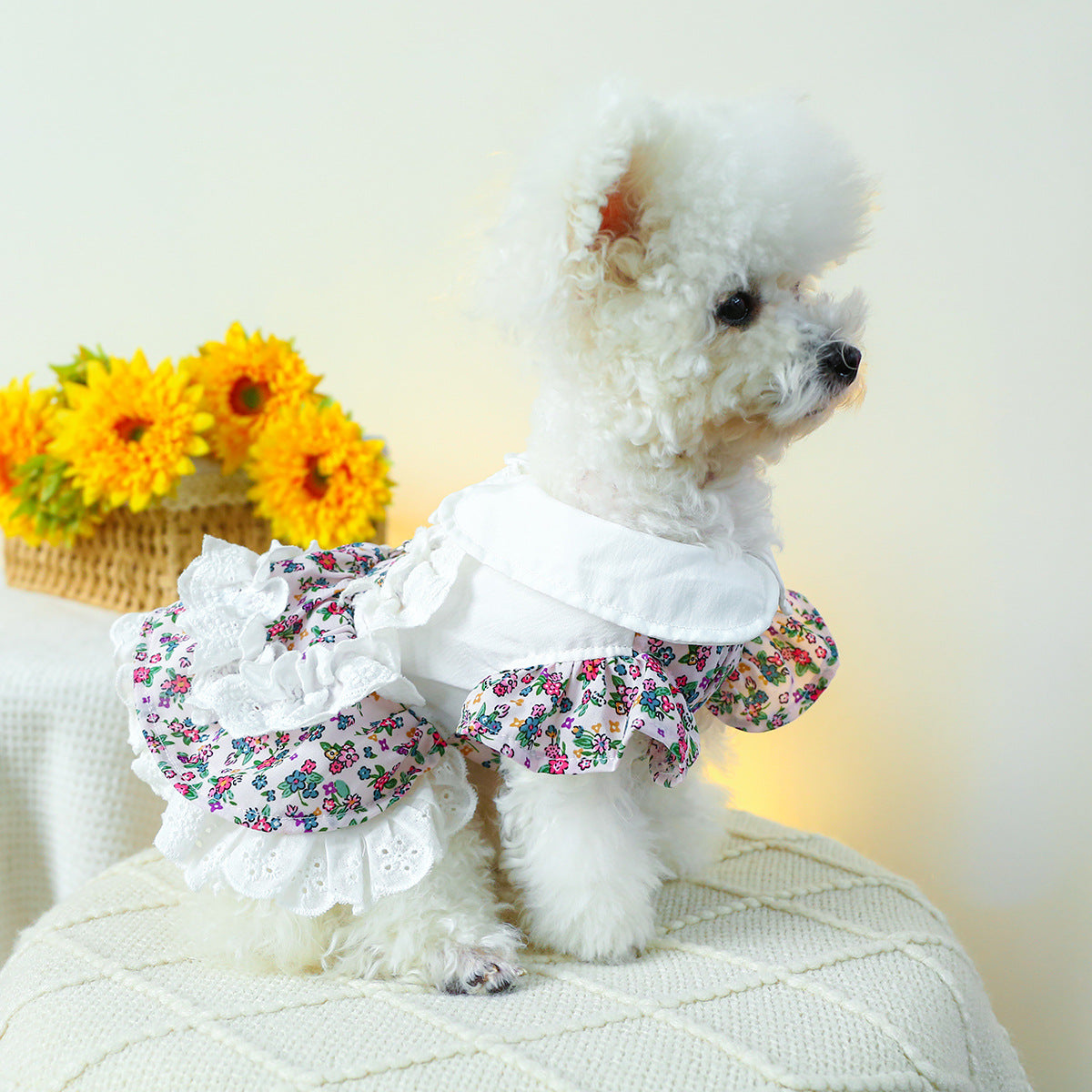 Flower Lace Decor Dog Cat Dress Harness