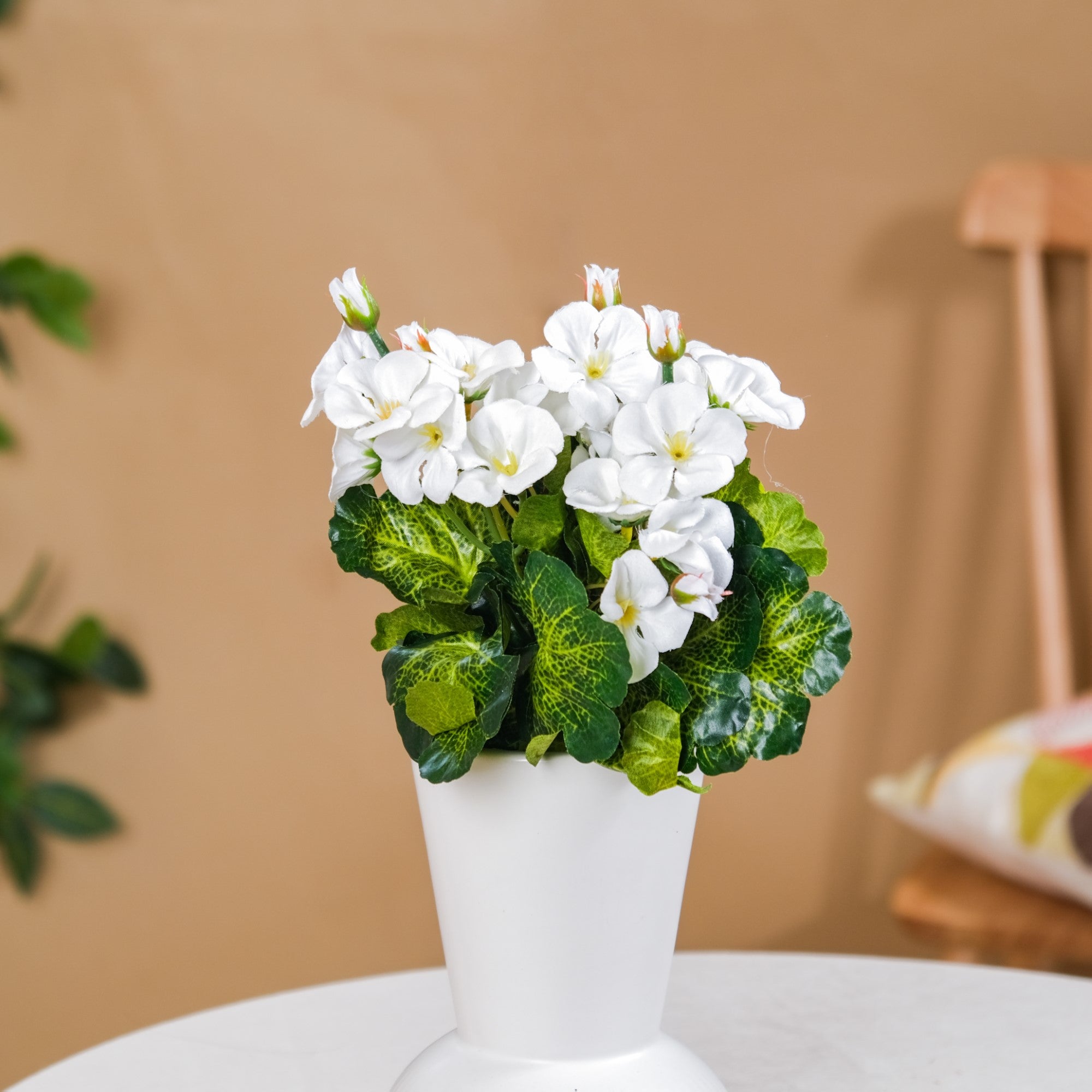 Begonia Flower Stem