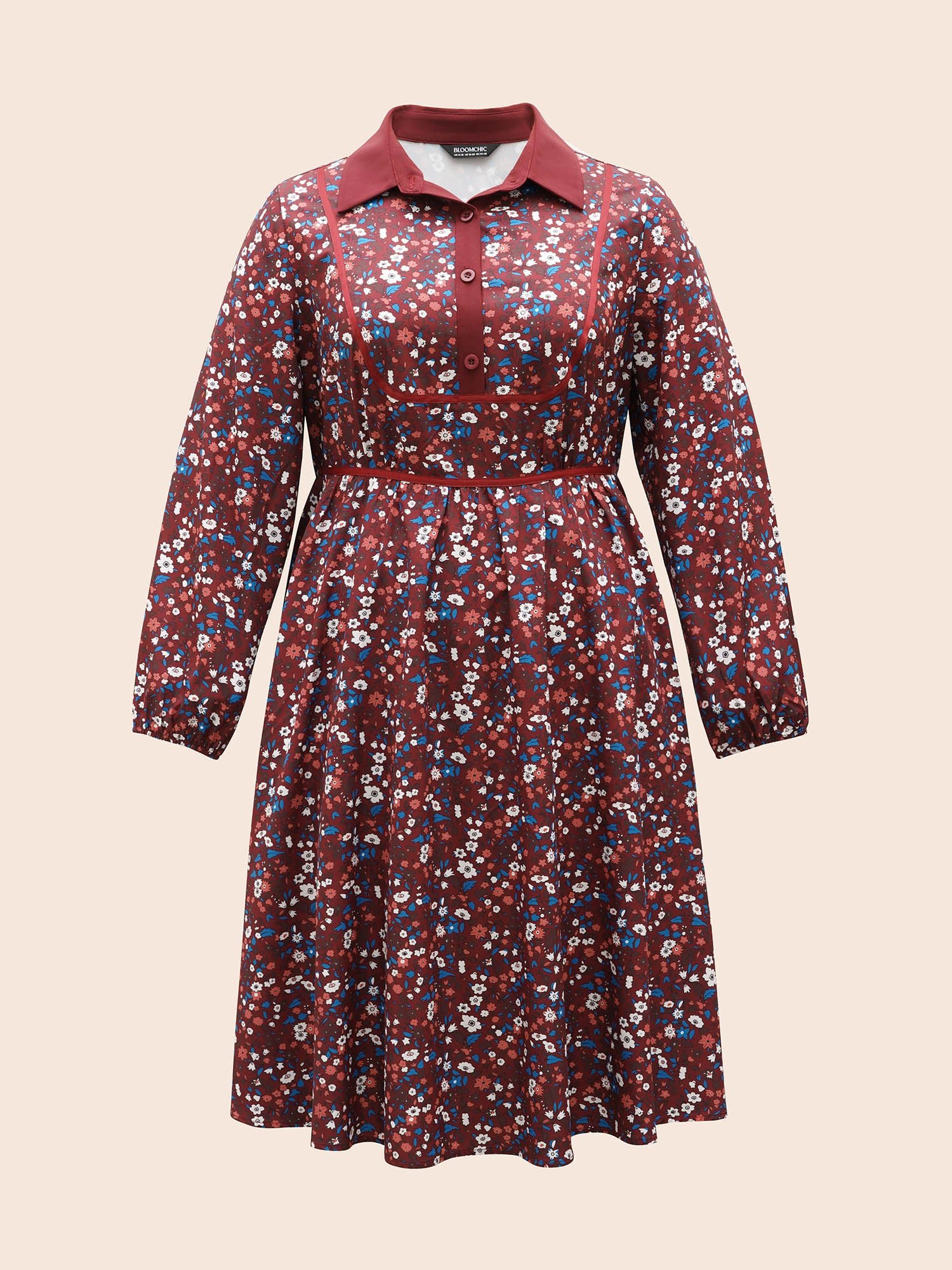 Ditsy Floral Woven Ribbon Button Up Dress
