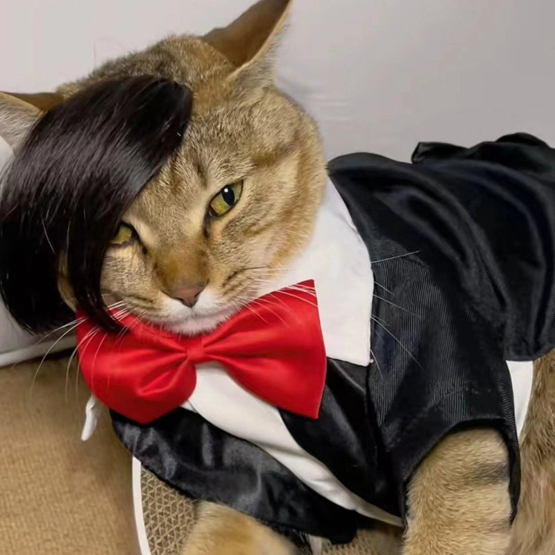 Internet Celebrous Pet Wig Mei Smokie Wig Dog Funny Wig Head Wig