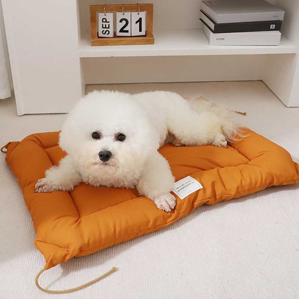 Pet Mat