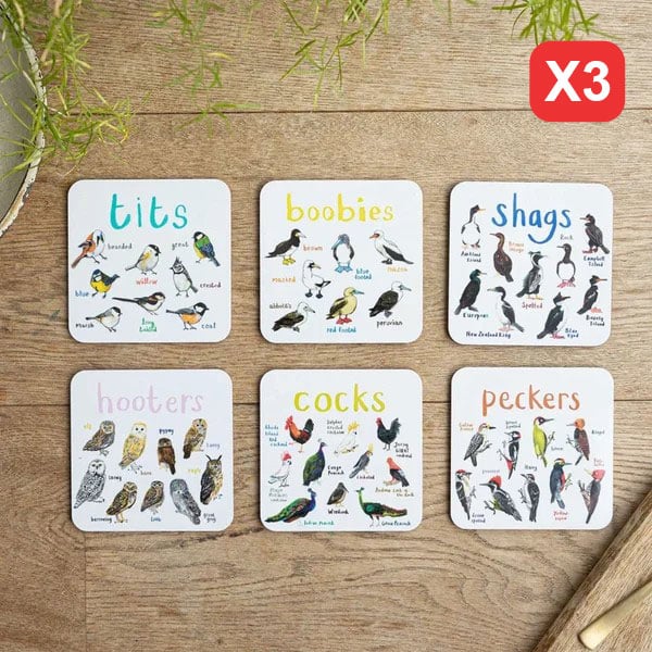 🐦Set of 6 Bird Pun Coasters