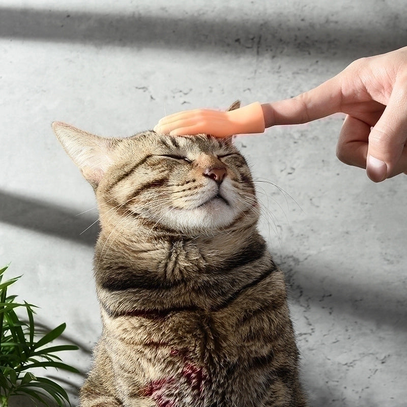 Cute Vinyl Hand Pet Toys