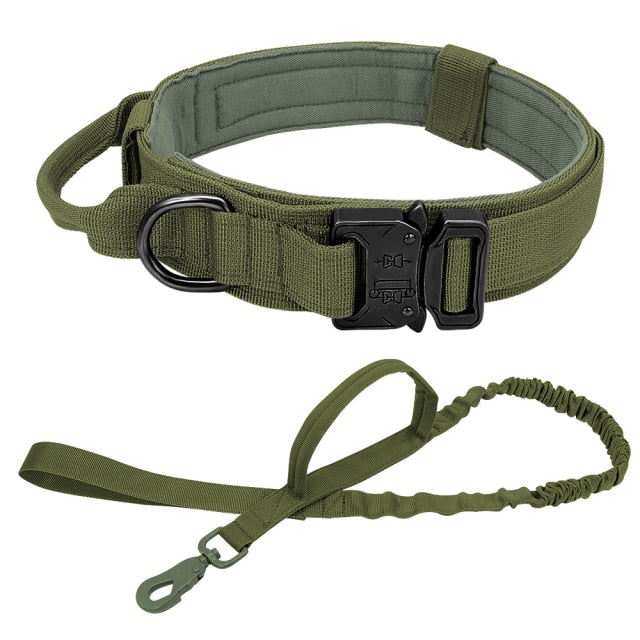 RoamReady Tactical Dog Collar