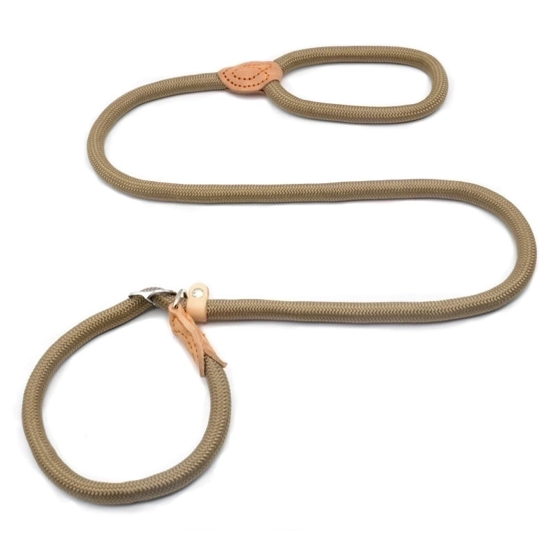 Minimalist Classic Style Nylon Solid Color Leash