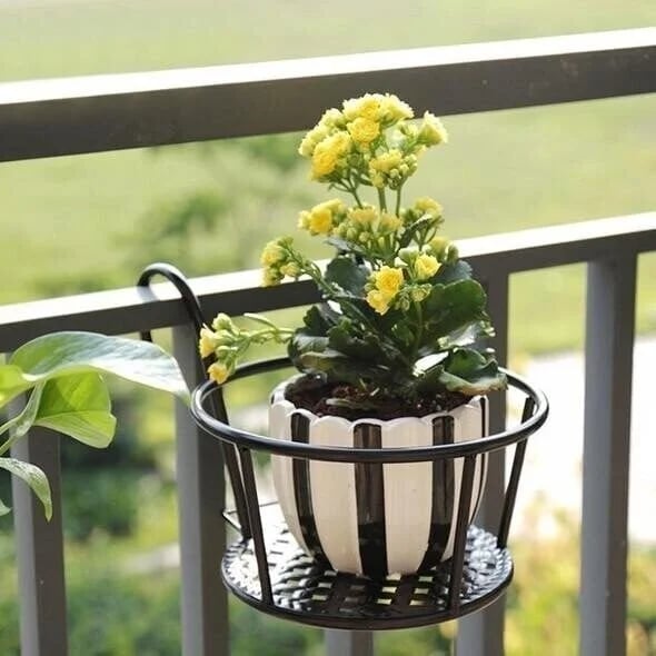 🔥Hot Sale - Hanging Flower Stand (✨Buy more and save more. free shipping for five pieces✨)