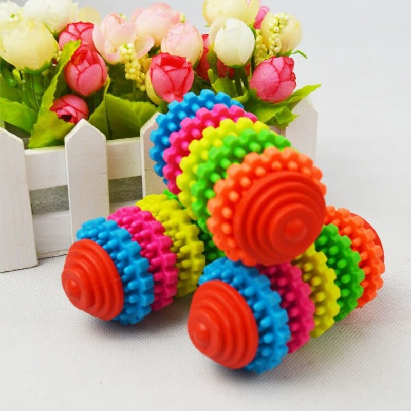 Gear Shape Dog Chew Toy