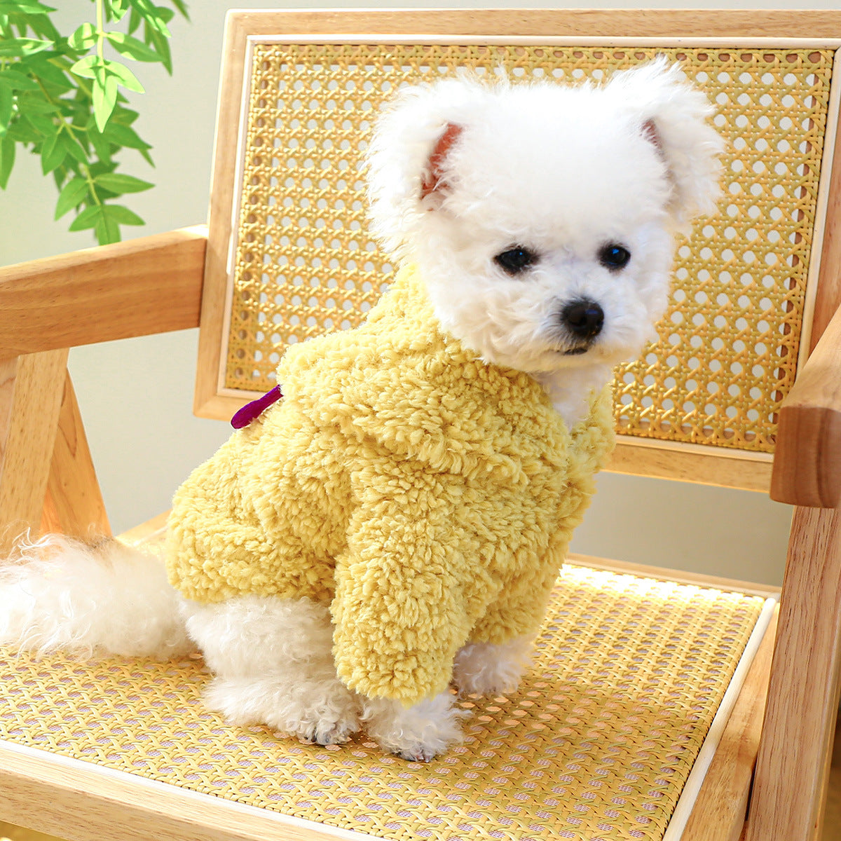 Fleece Funny Pattern Hooded Dog Hoodie