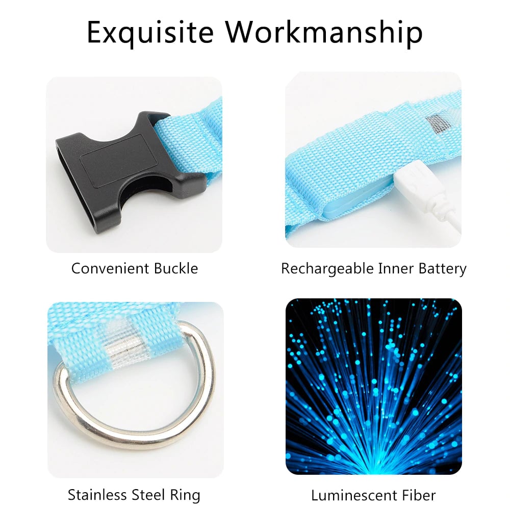 LED Dog Collar - USB Rechargeable - Glow In Dark