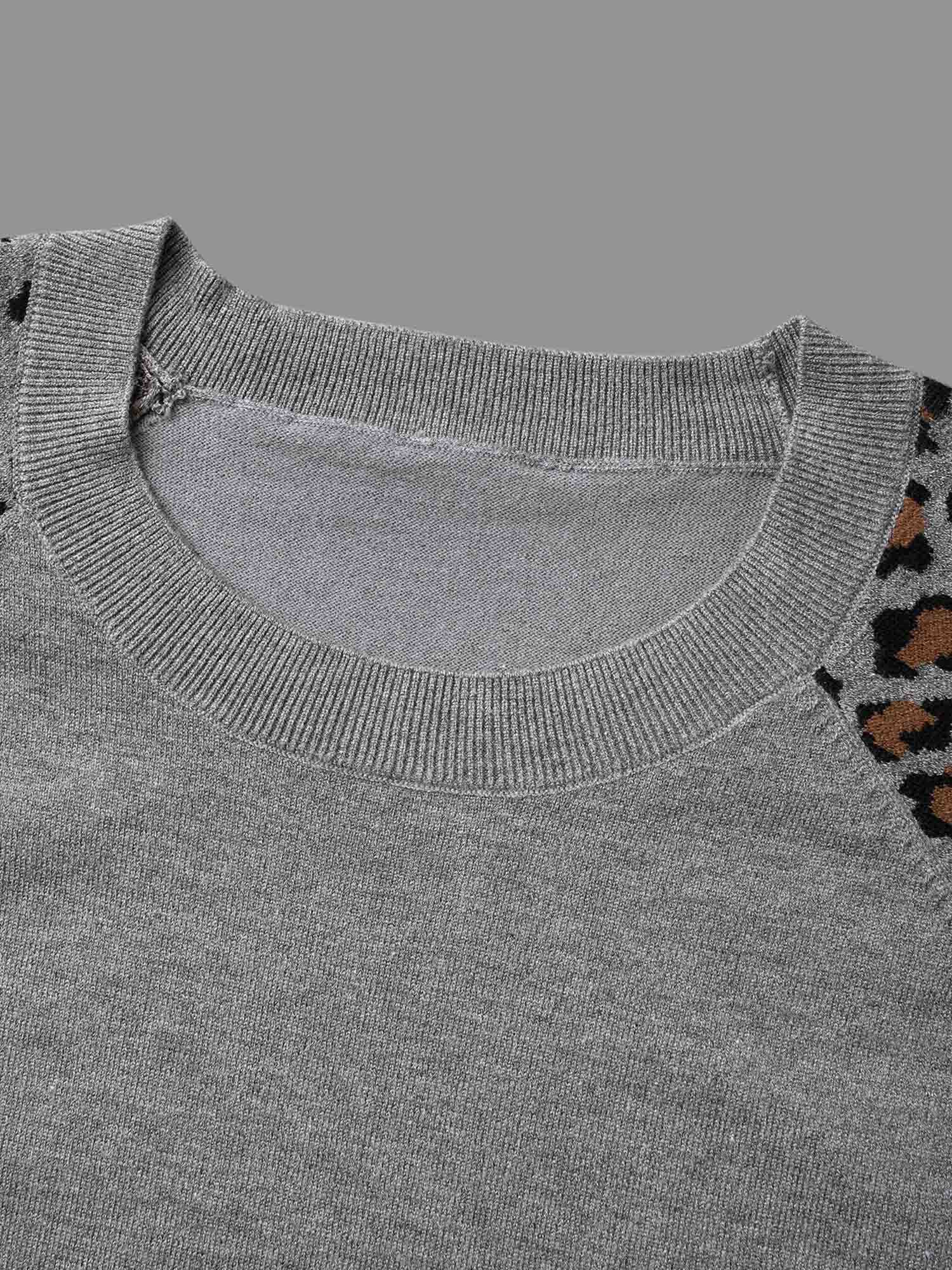 Leopard Print Raglan Sleeve Pullover