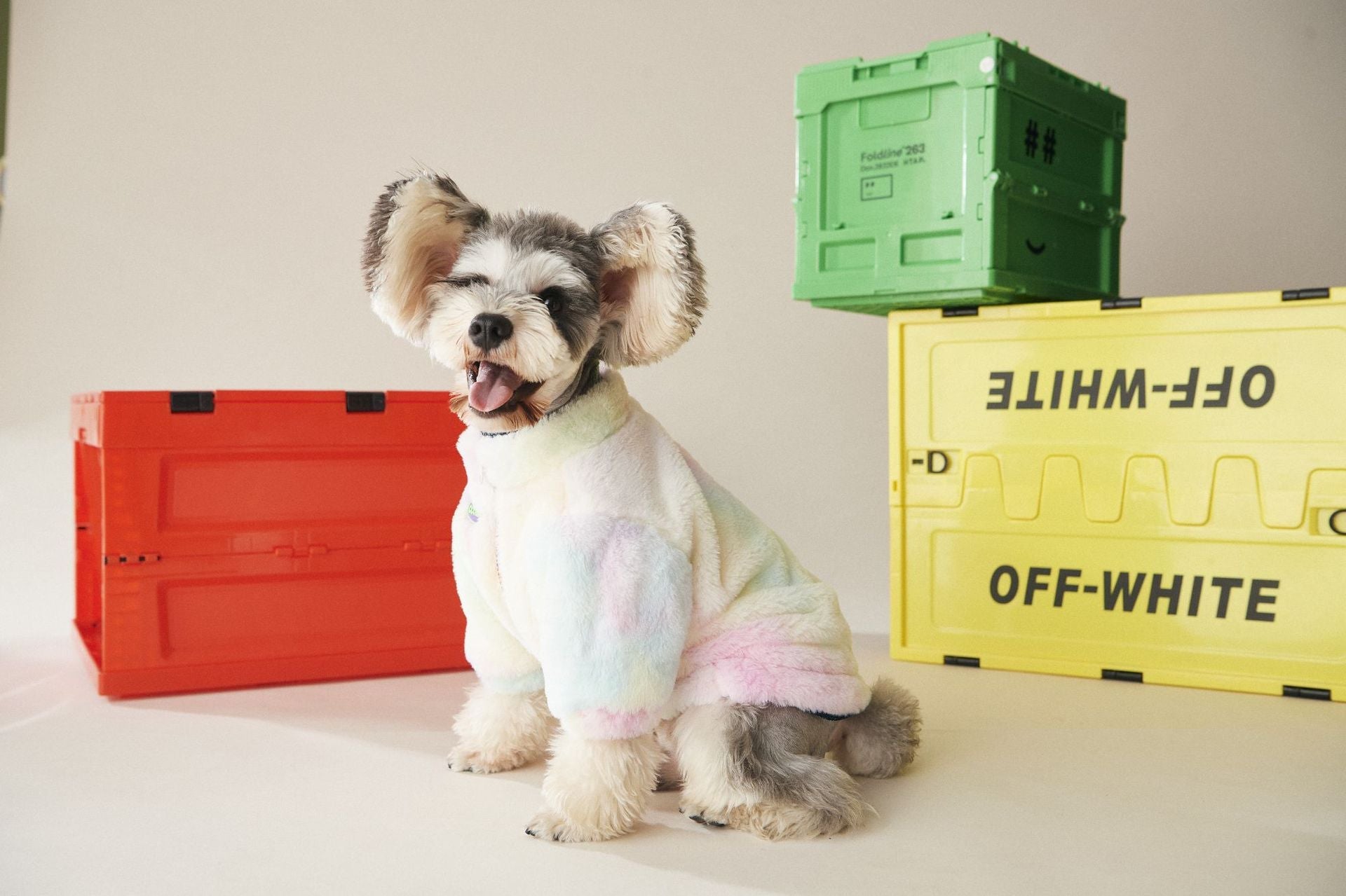Rainbow Dog Fur Coat