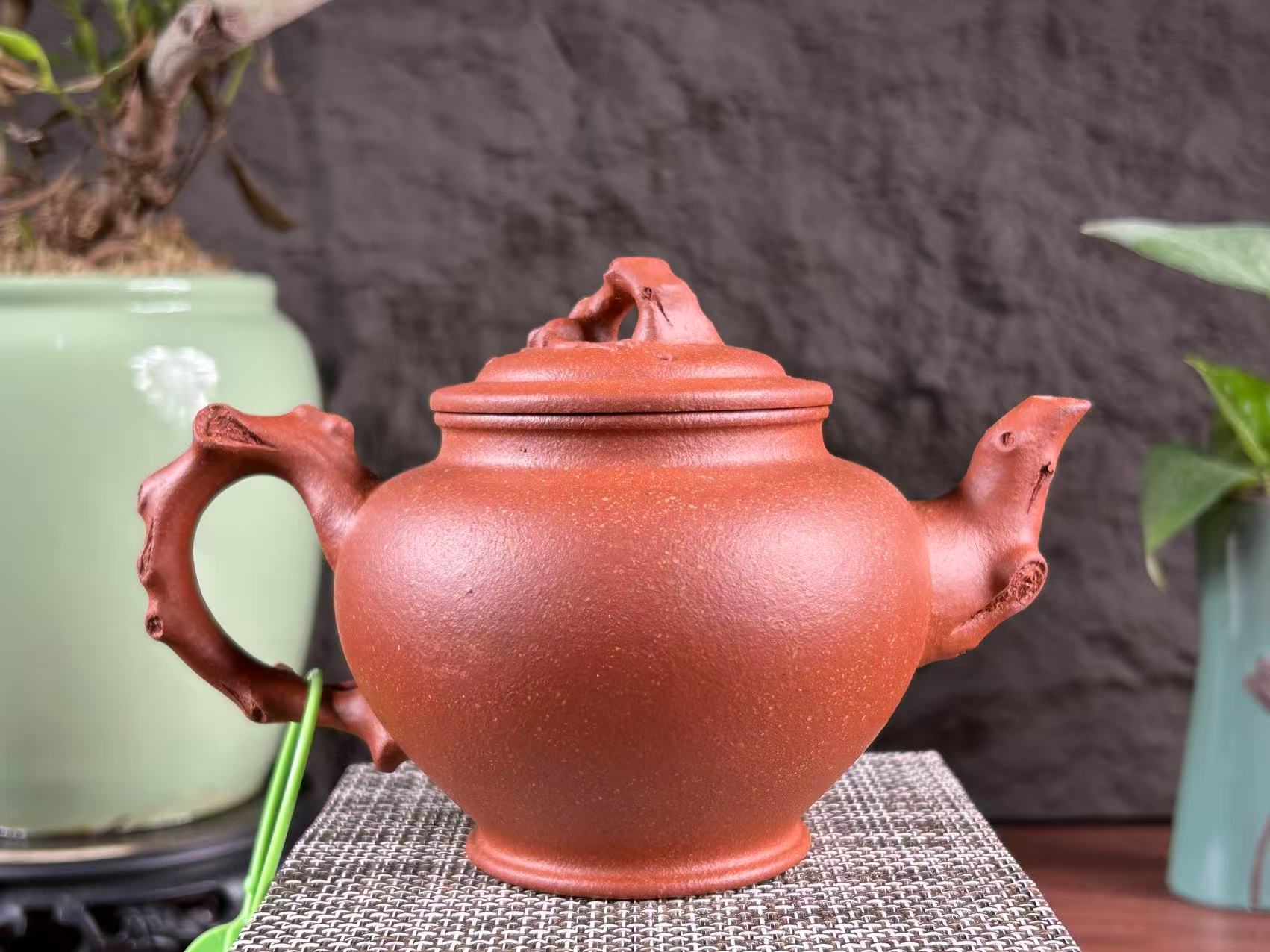 20250807-2-梅报春