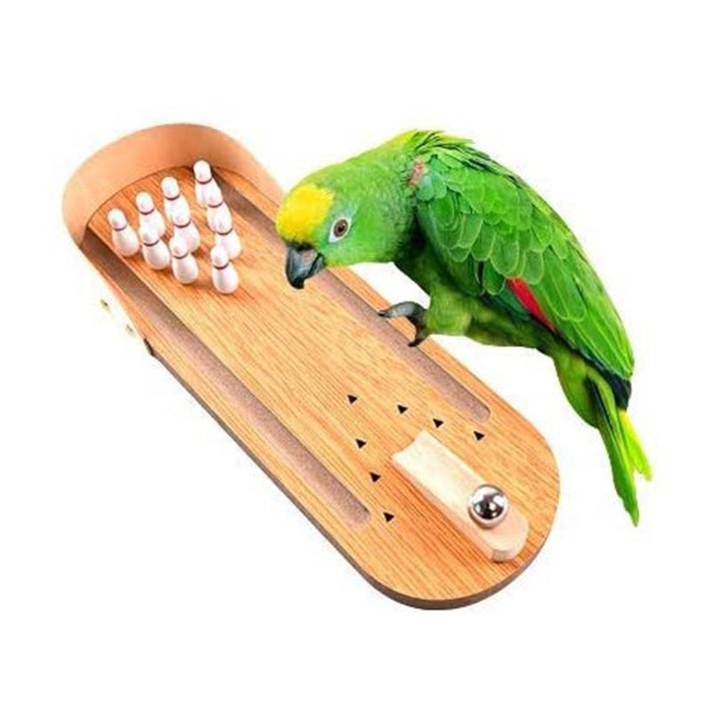 Training Chewing Bird Toys Set