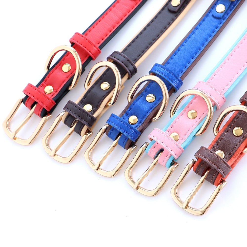 Personalized Rhinestone Dog Cat Collar