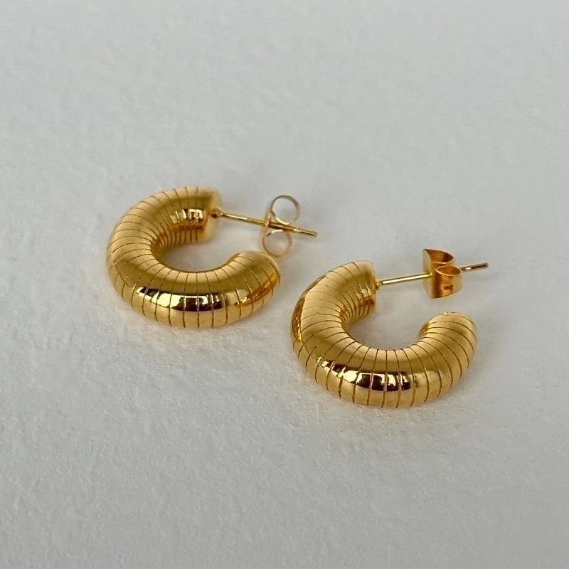 1 Pair  Classic Style C Shape 304 Stainless Steel 18K Gold Plated Stainless Steel Earrings
