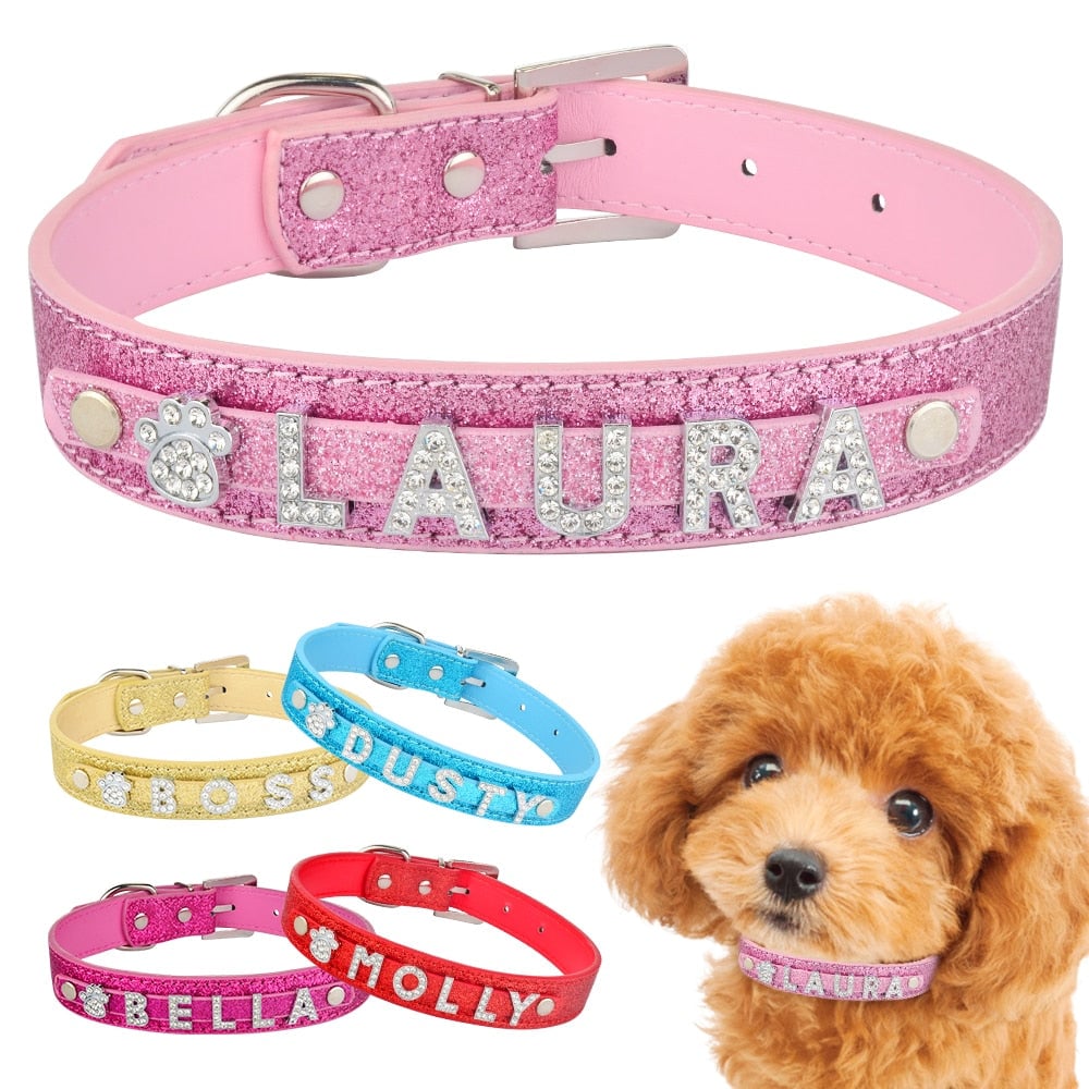 Personalized Dog Collar with Name
