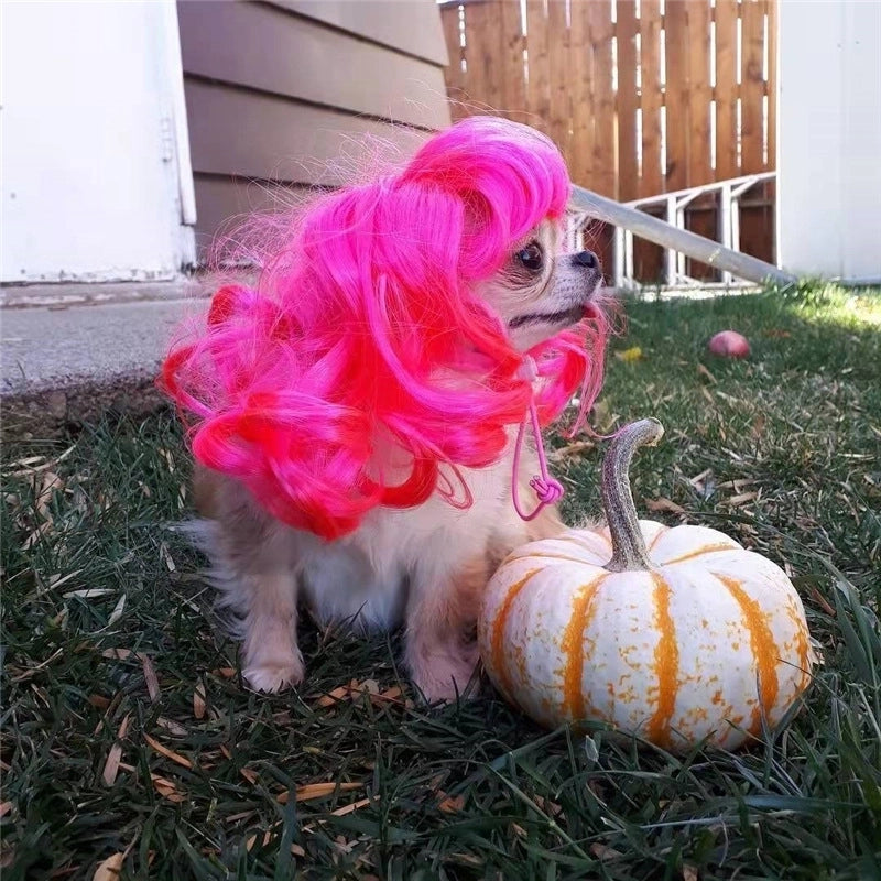 Minimalist Polyester Solid Color Pet Wig