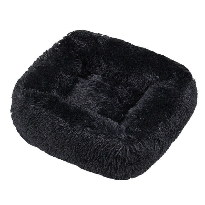 Cats Cushion Portable
