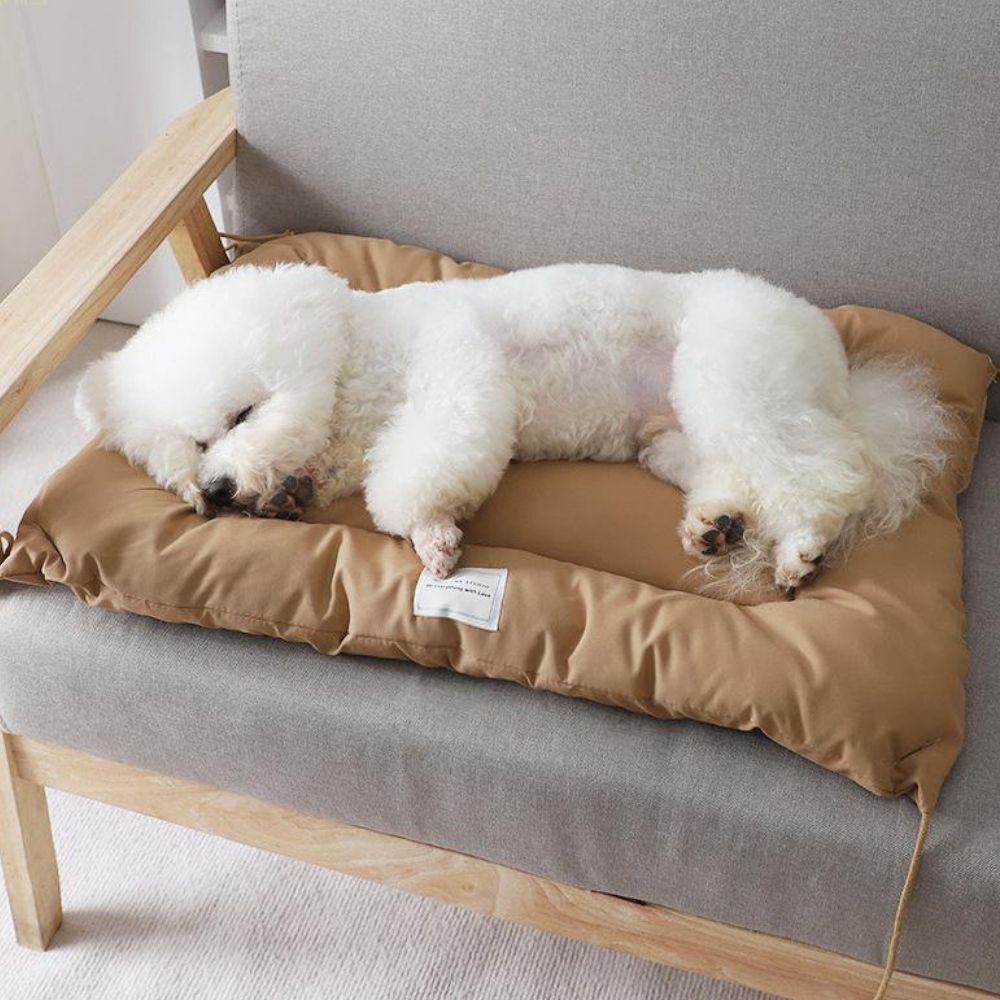 Pet Mat