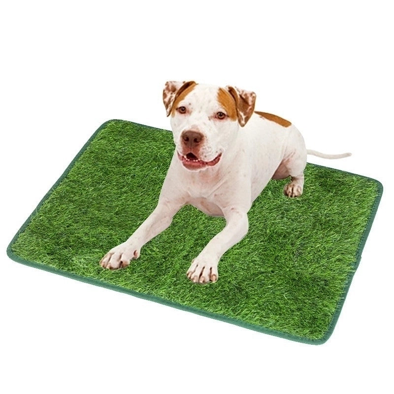 Minimalist Pe Tpr Solid Color Pet Pad