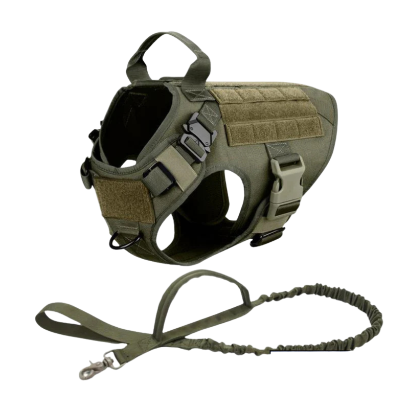 Dog Harness With Front And Back D Rings