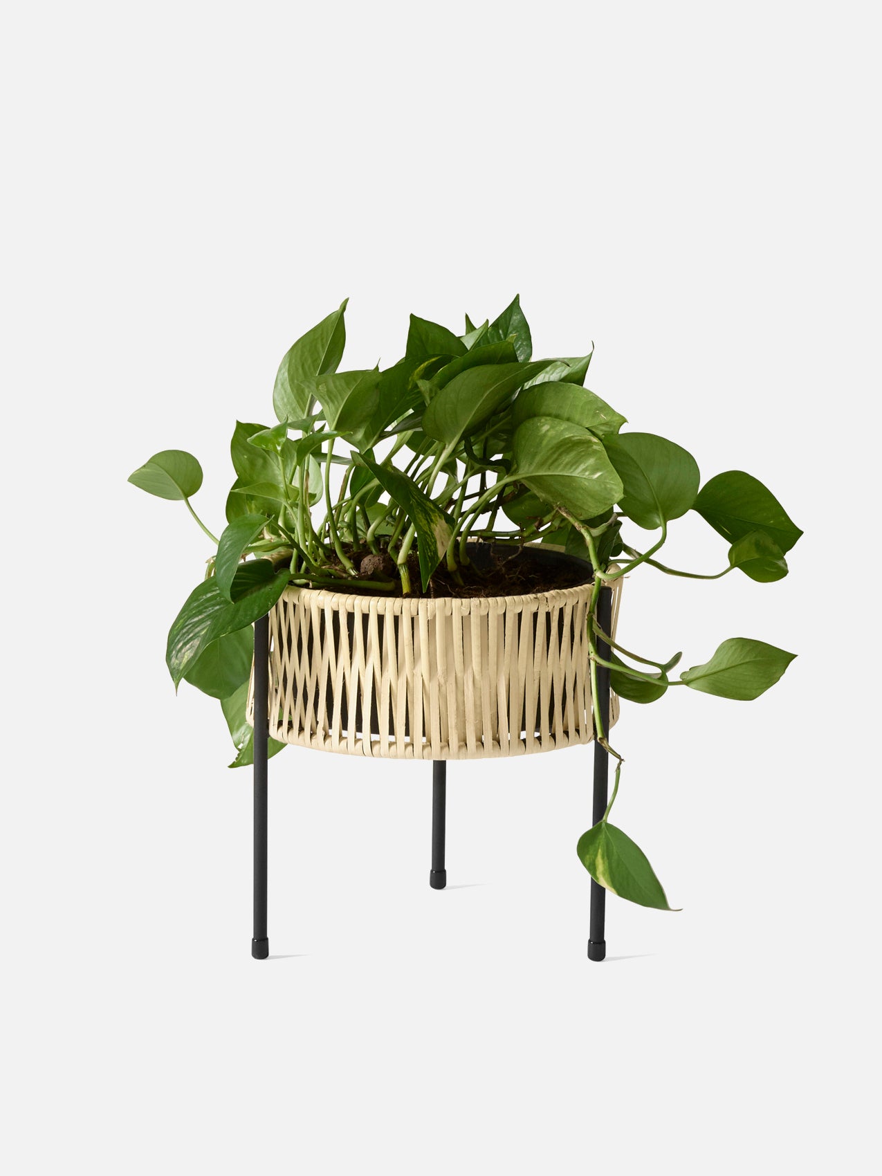 Umanoff Planter