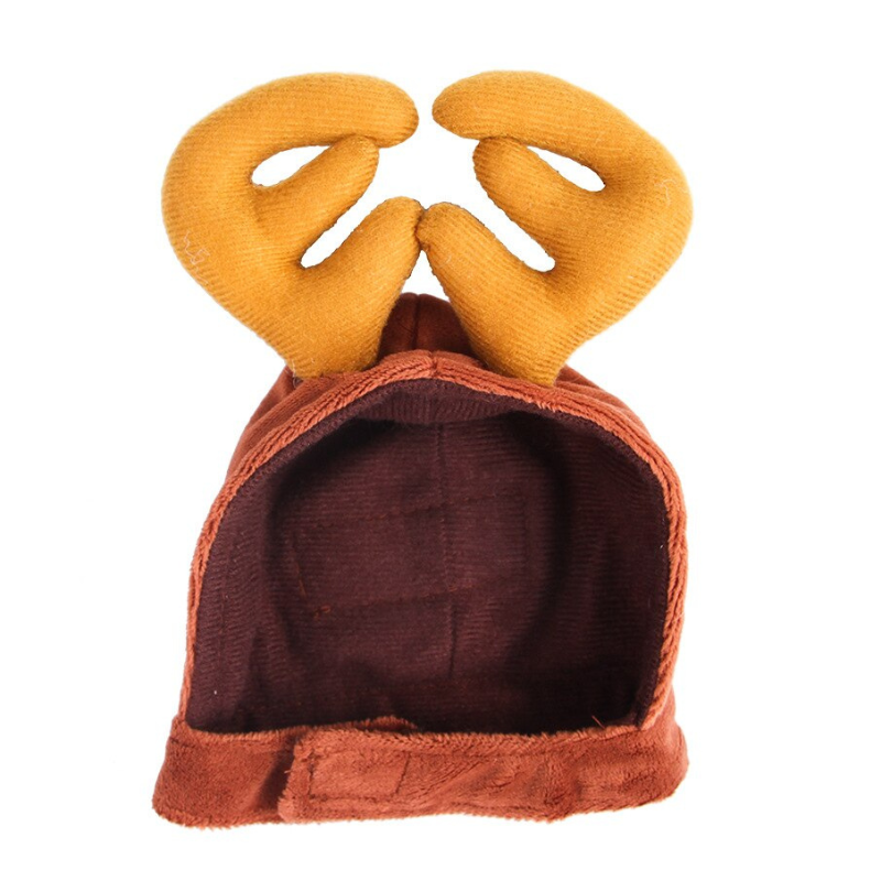 Themed Pet Cat Hats