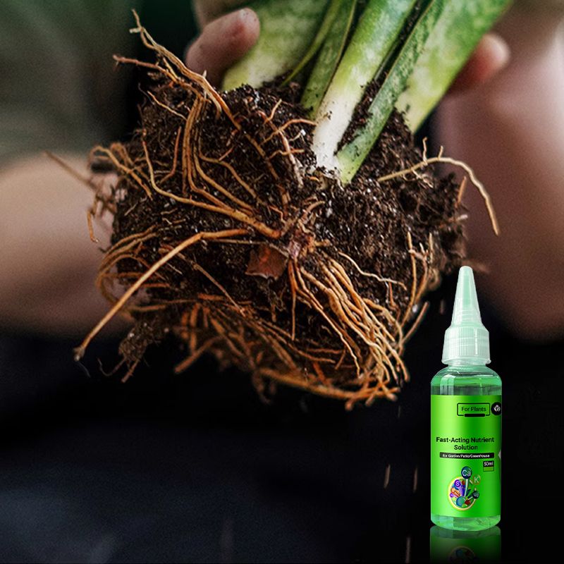 40% OFF🔥Fast-Acting Nutrient Solution for Plants