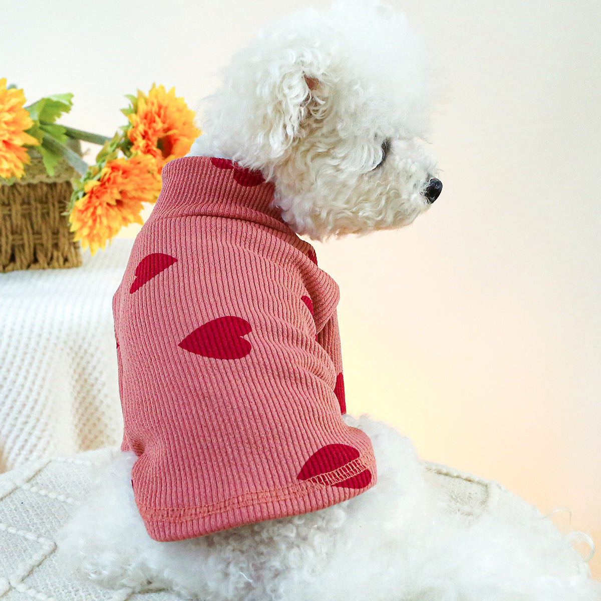 Warm Heart Printed Dog Cat Shirt