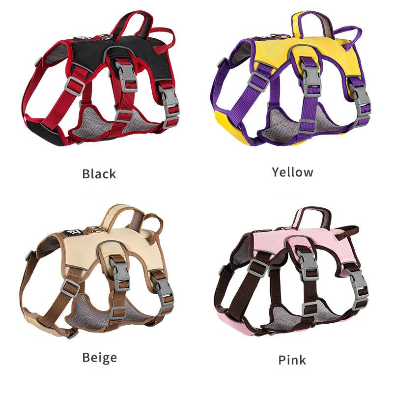 Contrast Color No Pull Dog Harness/Leash For Medium Dog