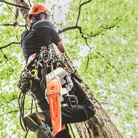 MSA 161 T Battery Chainsaw