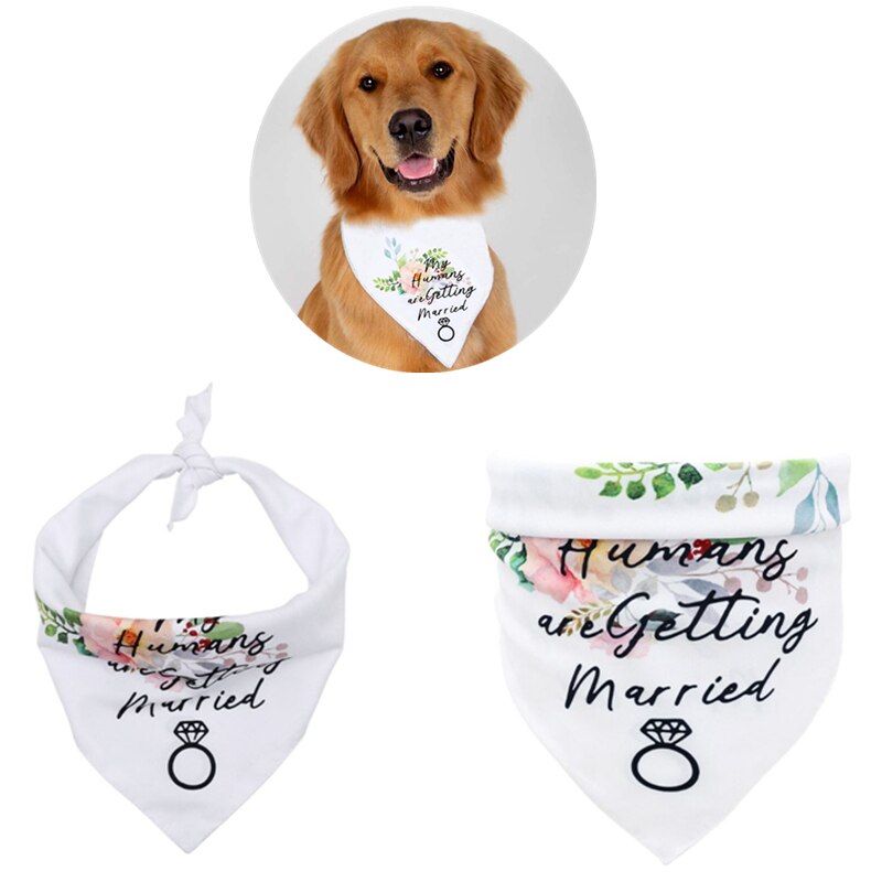White Dog Bandana