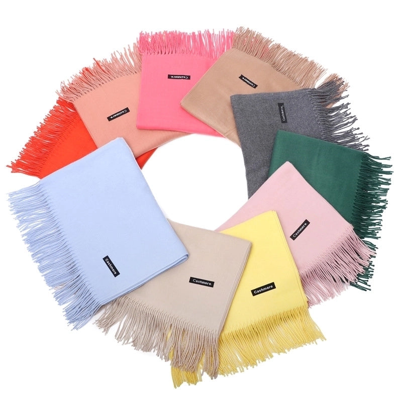 Women's Modern Style Solid Color Imitation Cashmere Scarf