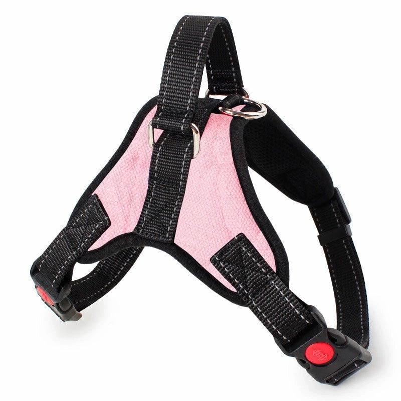 Fashion Cloth Solid Color Leash 1 Piece