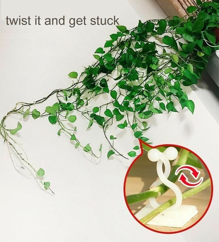 Plant Climbing Wall Fixture
