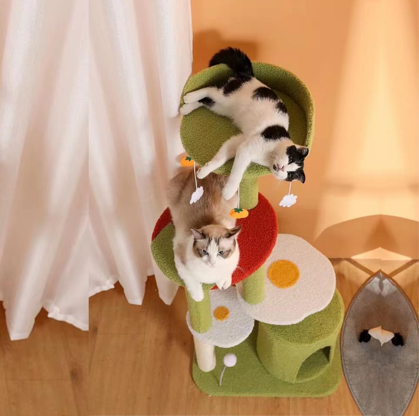 Fried Egg With Tomato Cat Tree Climbing Frame With Scratching Posts