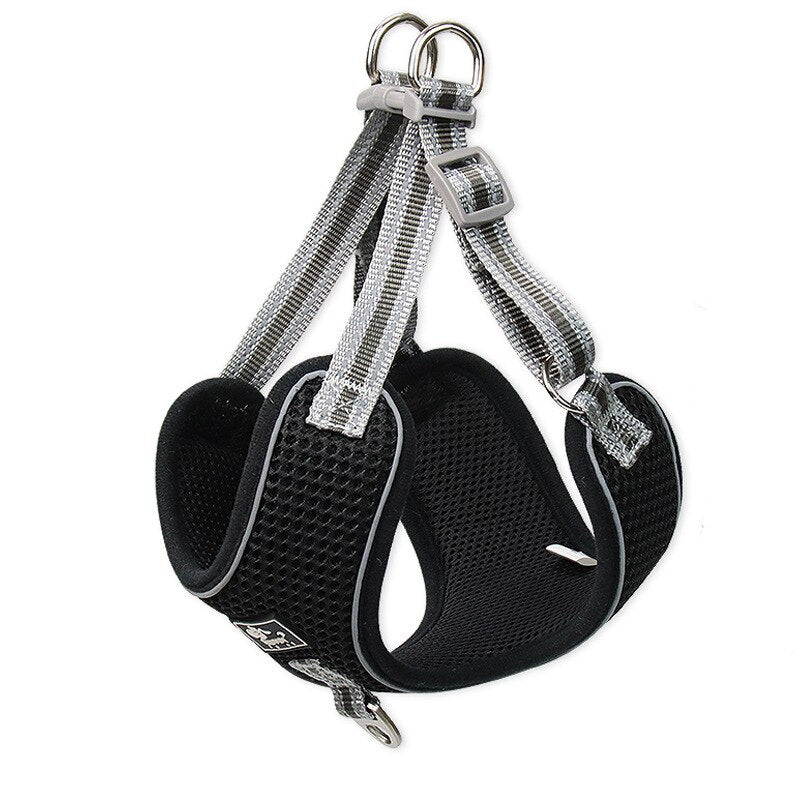 Breathable Pet Harness And Leash Set