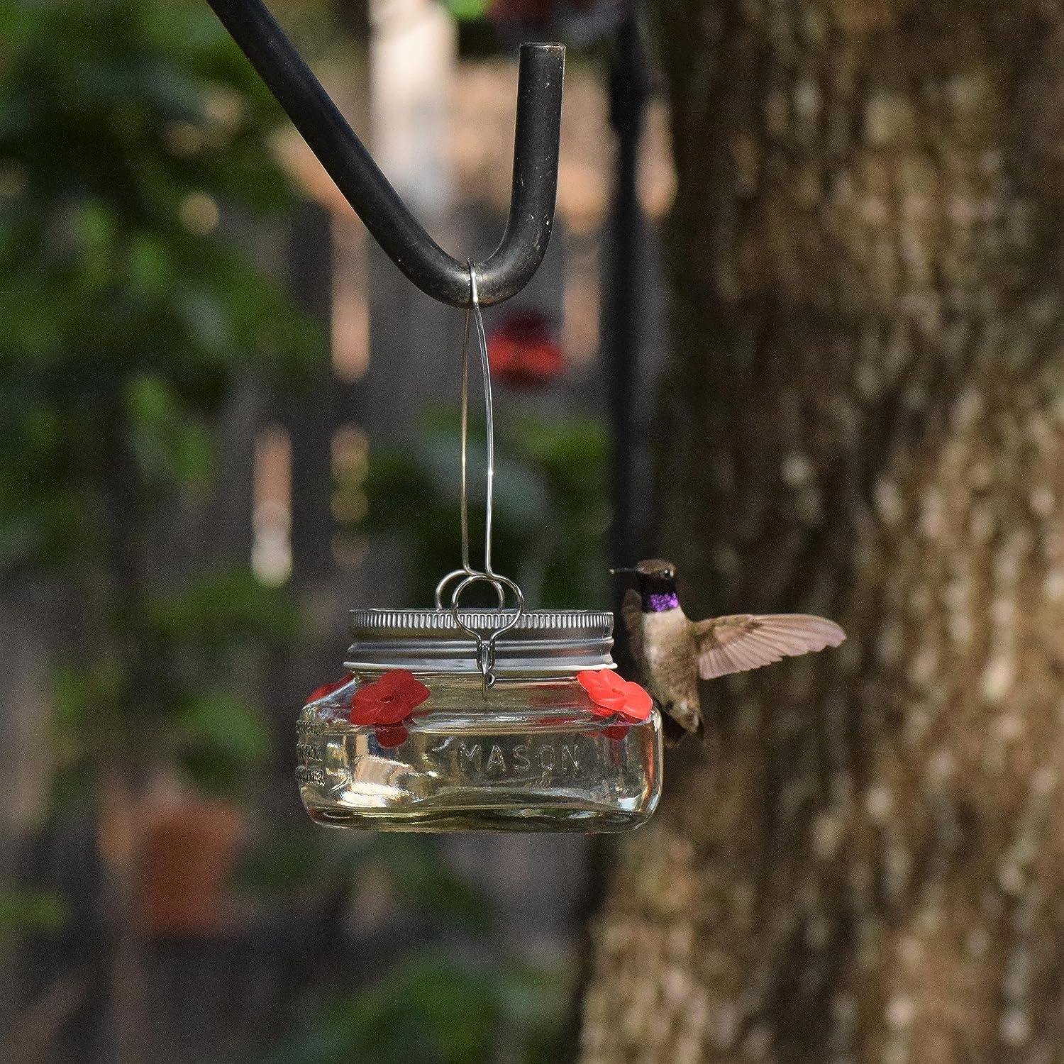 🎉   Promotion-49% OFF 🎉 Beautiful Mason Jar Hummingbird Feeder W/ Four Ports