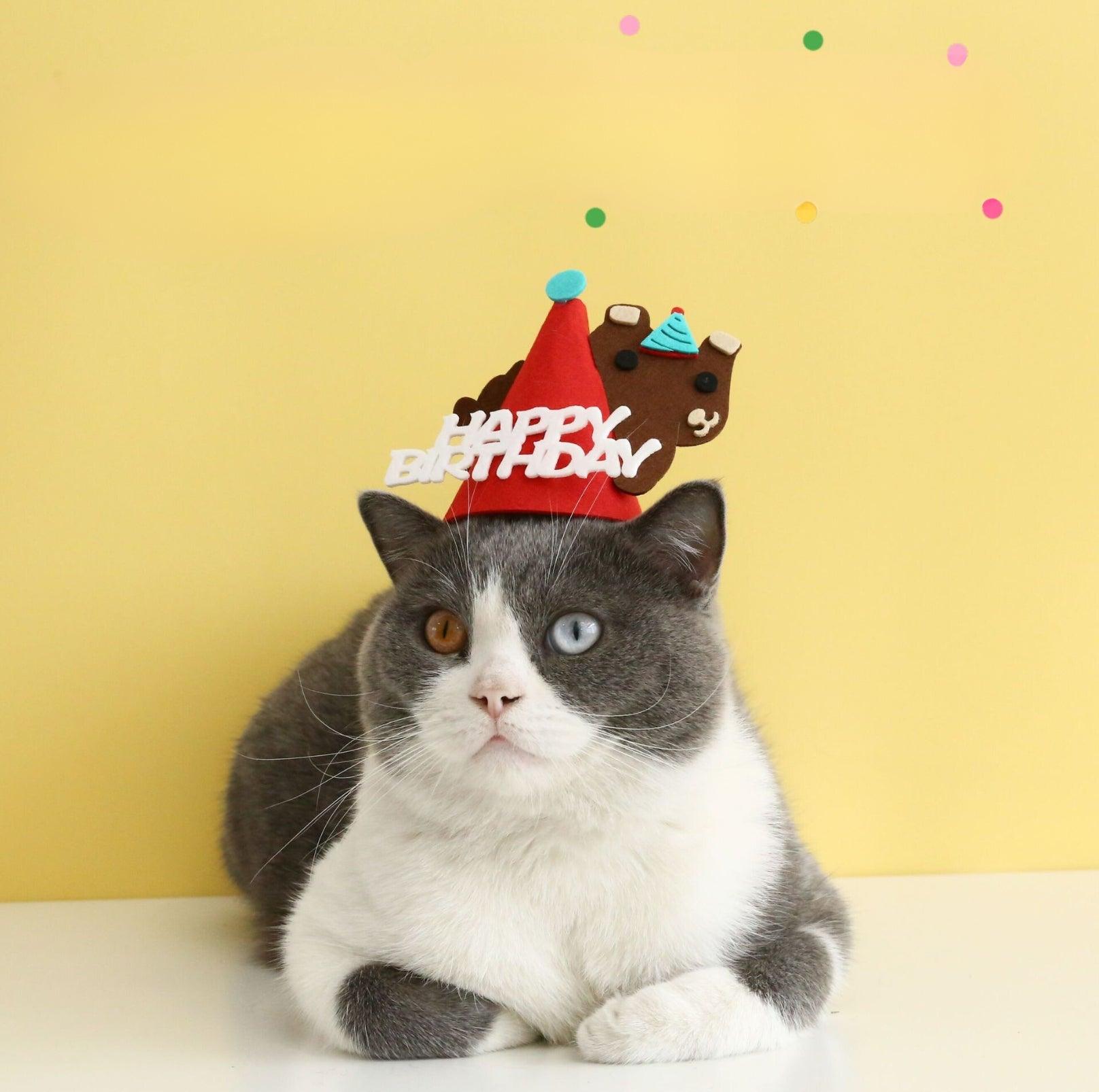 Animal Paw-ty Gear: Adorable Birthday Hat for Pets