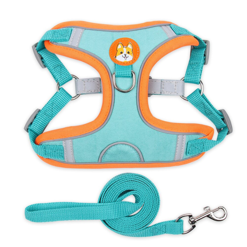 Reliable Dog Harness And Leash Set