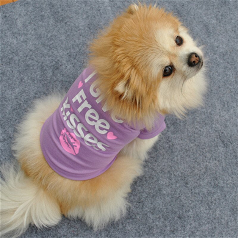 Dog T-shirt Accessories
