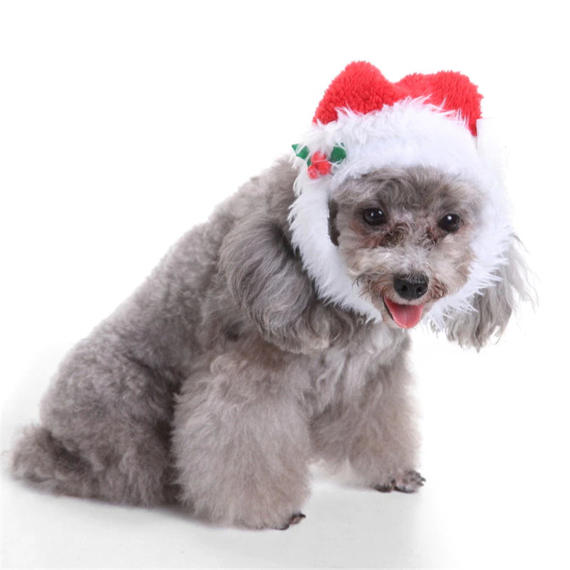 Big Beard Christmas Dog Hat