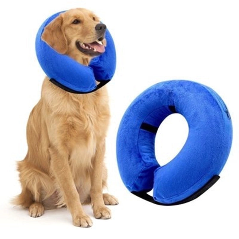 Minimalist Pvc Solid Color Pet Collar