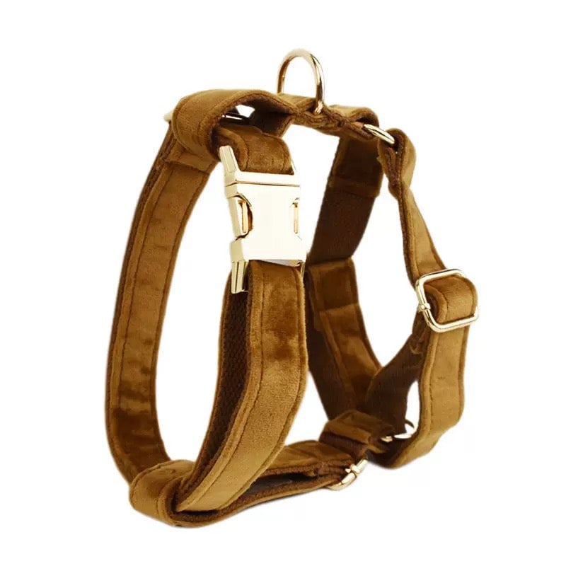 Velvet Personalized Dog Harness Collar Leash
