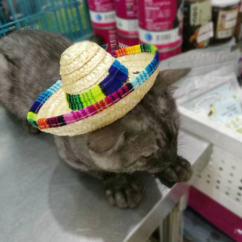 Pet Supplies Straw Mini Pet Dog Straw Hat Pet Mexican Straw Hat Pet Cat Sun Hat