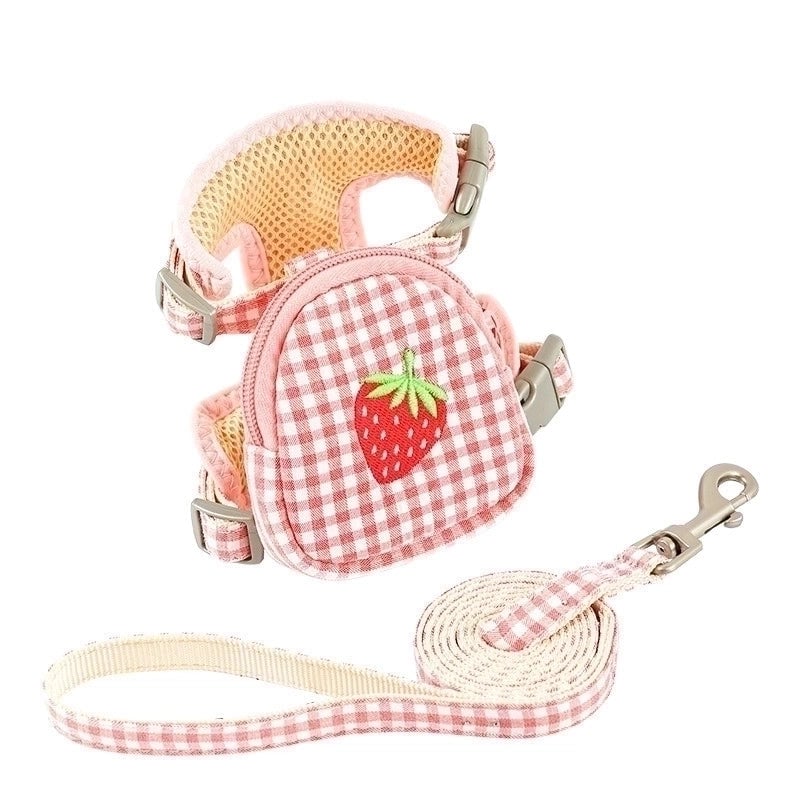 Minimalist Classic Style Polyester Color Block Leash